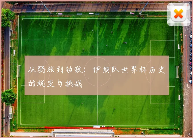从弱旅到劲敌：伊朗队世界杯历史的蜕变与挑战