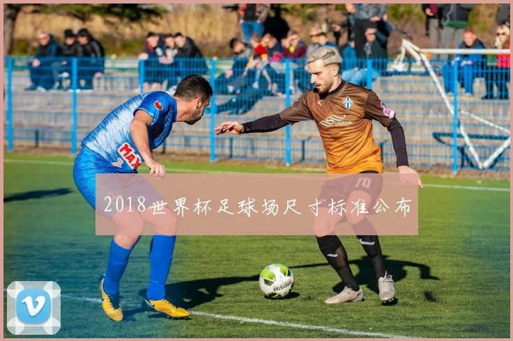 2018世界杯足球场尺寸标准公布